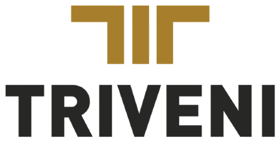 Triveni Infra build