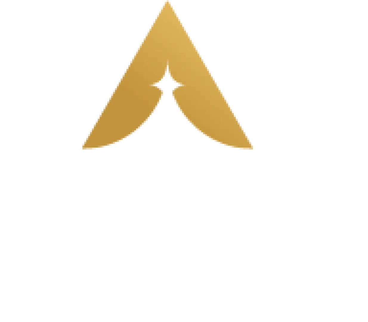 Aarsh Group